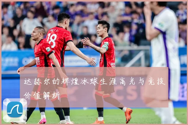 达赫尔的辉煌冰球生涯高光与竞技价值解析