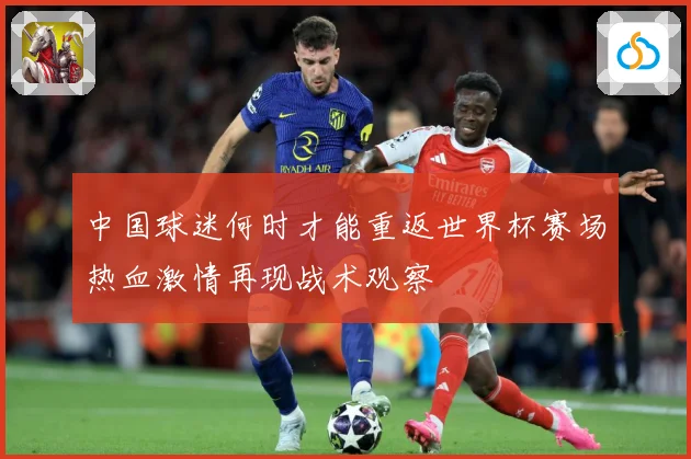 中国球迷何时才能重返世界杯赛场热血激情再现战术观察