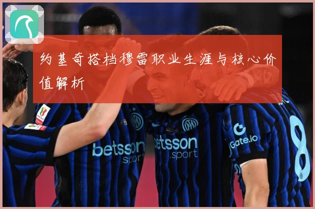 约基奇搭档穆雷职业生涯与核心价值解析