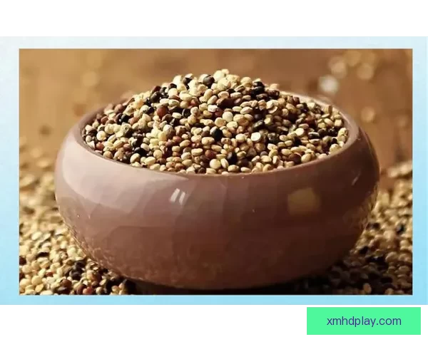 世界杯足球竞猜盘口深度解析与投注技巧全面指南 世界杯足球竞猜盘口深度解析与投注技巧全面指南